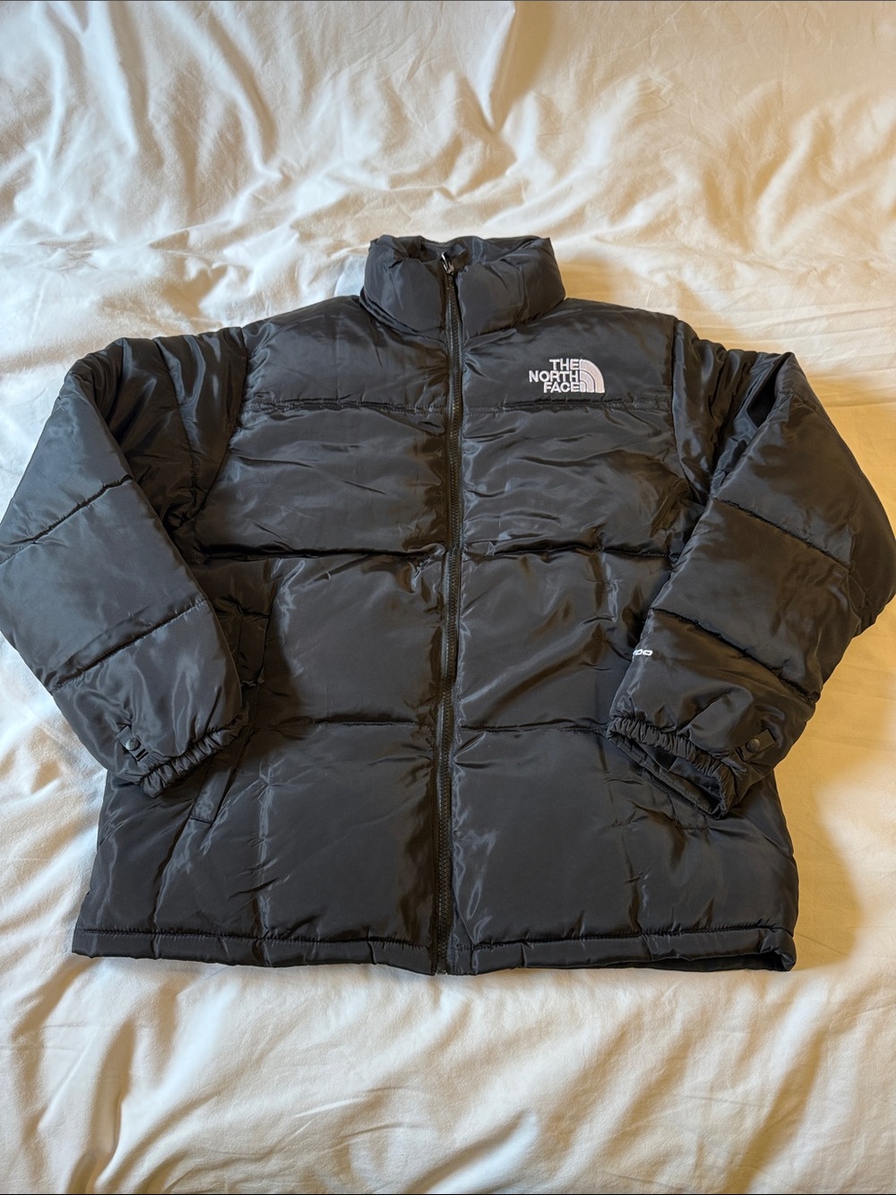 The North Face Black Down Puffer Coat